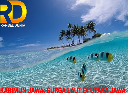 Karimun Jawa: Surga Laut di Utara Jawa