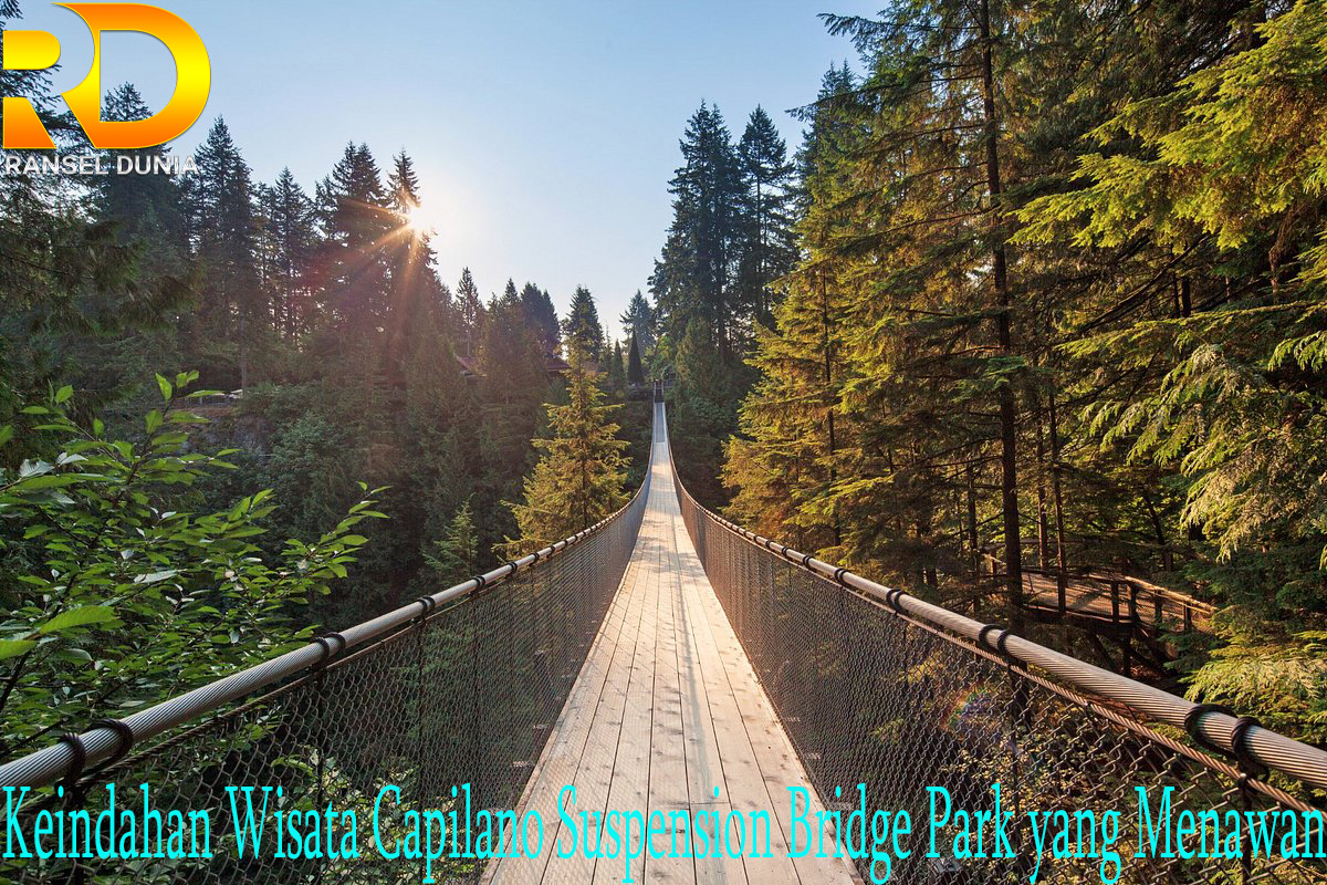 Keindahan Wisata Capilano Suspension Bridge Park yang Menawan