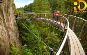Keindahan Wisata Capilano Suspension Bridge Park yang Menawan